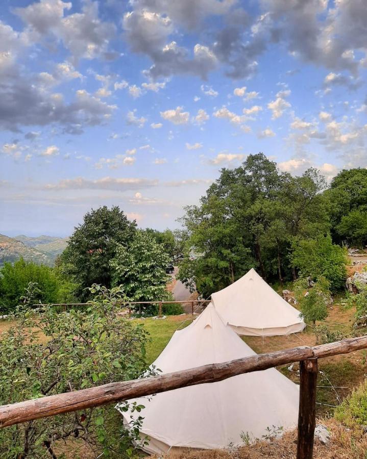 Camp Oaza,Lipa Hotel Cetinje Exterior photo